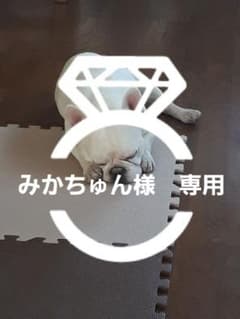 DressLab ドレスラボ　2018販売のサムネイル