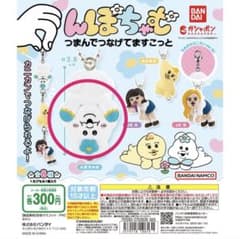 んぽちゃむ つまんでつなげてますこっとのサムネイル