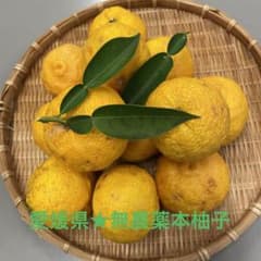 愛媛県産★無農薬本柚子のサムネイル