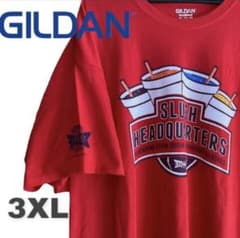 【honohonoko様 専用】GILDAN & Reebok Tシャツ2点のサムネイル