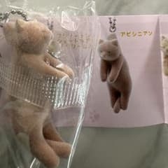 つまんだねこ2 ガチャガチャ アビシニアン　フロッキー素材のサムネイル