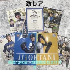 希少激レア　大谷翔平グッズまとめ売り　雑誌　観戦証明書　クリアファイル　野球 希少激レア 大谷翔平グッズまとめ売り 雑誌 観戦証明書 クリア