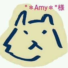 【*＊Amy＊*様専用】DSカセットのサムネイル