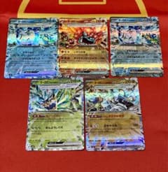 オーガポン　セットのサムネイル