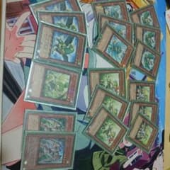 ユウさん専用  遊戯王 ガスタ デッキ パーツ エクストラ付きのサムネイル