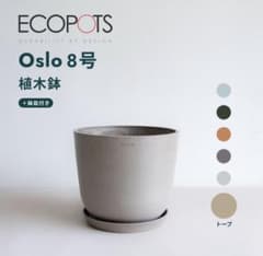 植木鉢 鉢 ecopots Oslo 8号 トープ - メルカリ