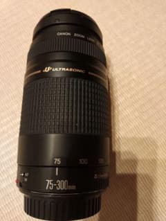 Canon EF 75-300mm F4-5.6 Ⅱ USMのサムネイル