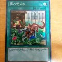 遊戯王 隣の芝刈りのサムネイル