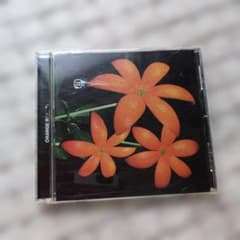 ORANGE RANGE 花のサムネイル