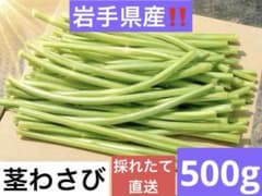 茎わさび　500g (ネコポス)のサムネイル
