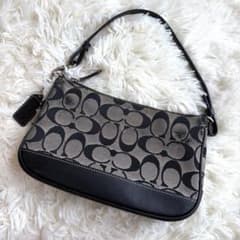 Coach アクセサリーポーチ ショルダーバッグ ネイビー レザー 6094 Coach アクセサリーポーチ ショルダーバッグ ネイビー レザー 6094