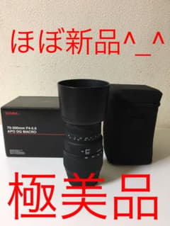 SIGMA 70-300 F4-5.6 APO DG MACROのサムネイル