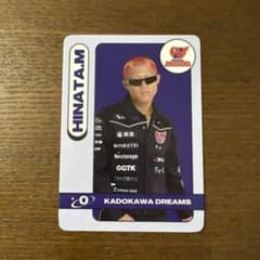 26-27トレカ】Dリーグ KADOKAWA DREAMS HINATA.M - メルカリ