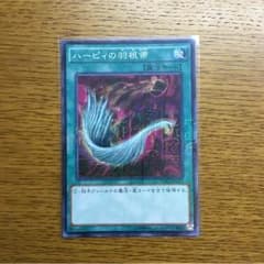 ハーピィの羽根帚【即購入可】のサムネイル