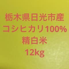 栃木県日光市産　こしひかり100%　12kg　お得　限定　こだわり　ポイント消化 栃木県日光市産 こしひかり100% 12kg お得 限定 こだわり ポイント消化