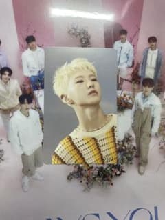 ホシ SEVENTEEN トレカのサムネイル