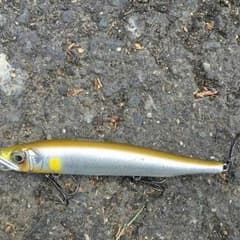 ガンクラフト　レスト108のサムネイル