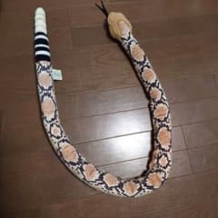 ヘビ ぬいぐるみ 2点セット リアルのサムネイル