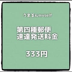 カワセミ125様 リクエスト 2点 まとめ商品のサムネイル