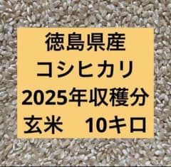 最終値下げ！2025年産 徳島県産 コシヒカリ 玄米10kg 農家直購入