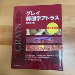 グレイ解剖学アトラスのサムネイル
