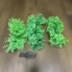 Aquarium layout set: 3 artificial aquatic plants & 1 piece of driftwood