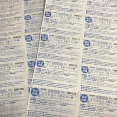 【マリンスポーツ等に！】リザンシーパーク谷茶ベイエンジョイP券2000円相当分のサムネイル
