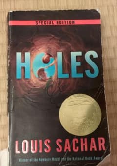 ルイス・サッカー holes HOLES　洋書のサムネイル