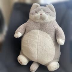ねこ肯定感　はちわれのかつお　Ｌサイズのサムネイル