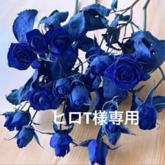 ドライフラワー❇️染めミニバラ❣️ロイヤルブルーᕷ*.° - メルカリ