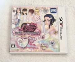 Nintendo 3DS プリティーリズム マイ☆デコレインボーウエディング