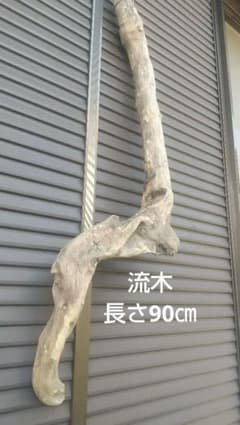 流木(長さ90㎝)のサムネイル