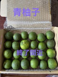 青柚子　24個(約１キロ)のサムネイル