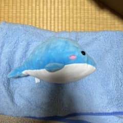 イルカのサムネイル