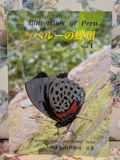 Butterflies of Peru ペルーの蝶類 Vol. 1 Butterflies of Peru ペルーの蝶類 Vol. 1 - メルカリ