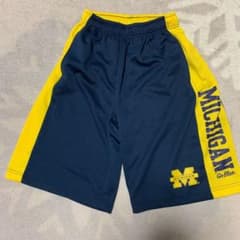 バスパン ミシガン Michiganのサムネイル