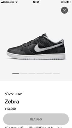 ナイキ　ダンク　LOW レトロプレミアムのサムネイル