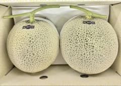 風*太様 高知県産　温室マスクメロン5玉入り 約10.3㎏（下箱込み） P*様 高知県産 温室マスクメロン 2玉入り 約3.8㎏（下箱込み） - メルカリ