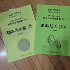 PYGLI 能力育成問題集 12・13 2冊セットのサムネイル