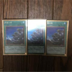 遊戯王 同胞の絆 日本語版 3枚のサムネイル