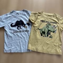 恐竜 スパンコール Tシャツ 2枚セット 110cmのサムネイル