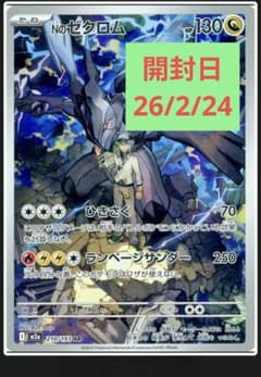 ポケモンカード Nのゼクロム AR【硬化ケース保管】 - メルカリ
