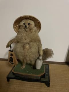 安いタヌキ 剥製の通販商品を比較 | ショッピング情報のオークファン