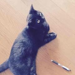 んがが様専用のサムネイル