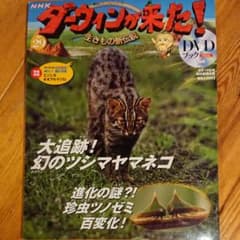 ダーウィンが来た!DVD付きのサムネイル