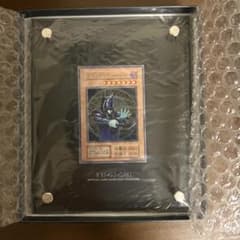 しらほす様専用のサムネイル
