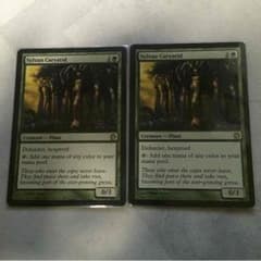 ハピメア様専用mtg森の女人像のサムネイル
