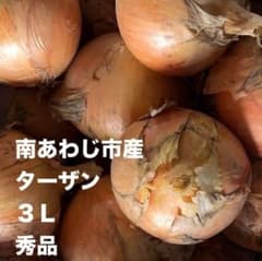 淡路島玉ねぎ　10キロ　3Lのサムネイル