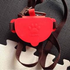 いぬのきもちのサムネイル