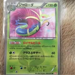 ジャローダのポケモンカード。のサムネイル